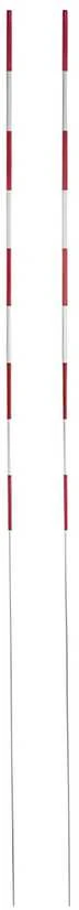 Netex tinklinio antenos 2vnt