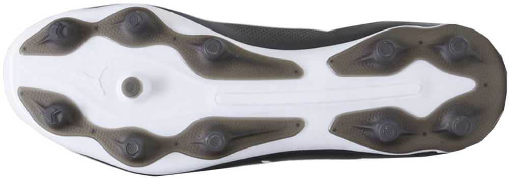 Buty piłkarskie Puma King Pro FG/AG 107566 01 43
