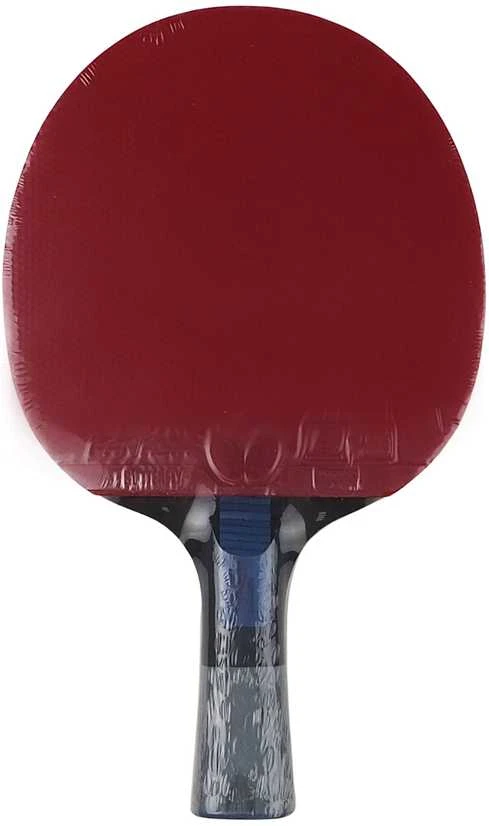 raketė stalo teniso Butterfly Dang Qiu DQX2