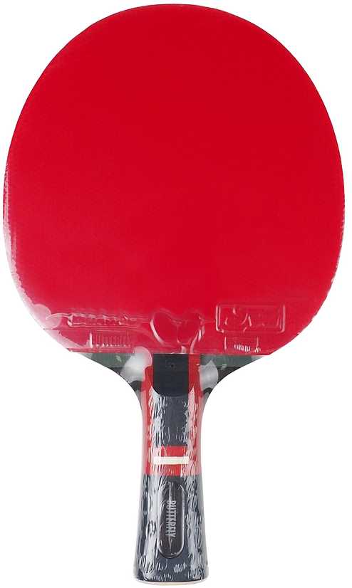 raketė stalo teniso Butterfly Dang Qiu DQX3