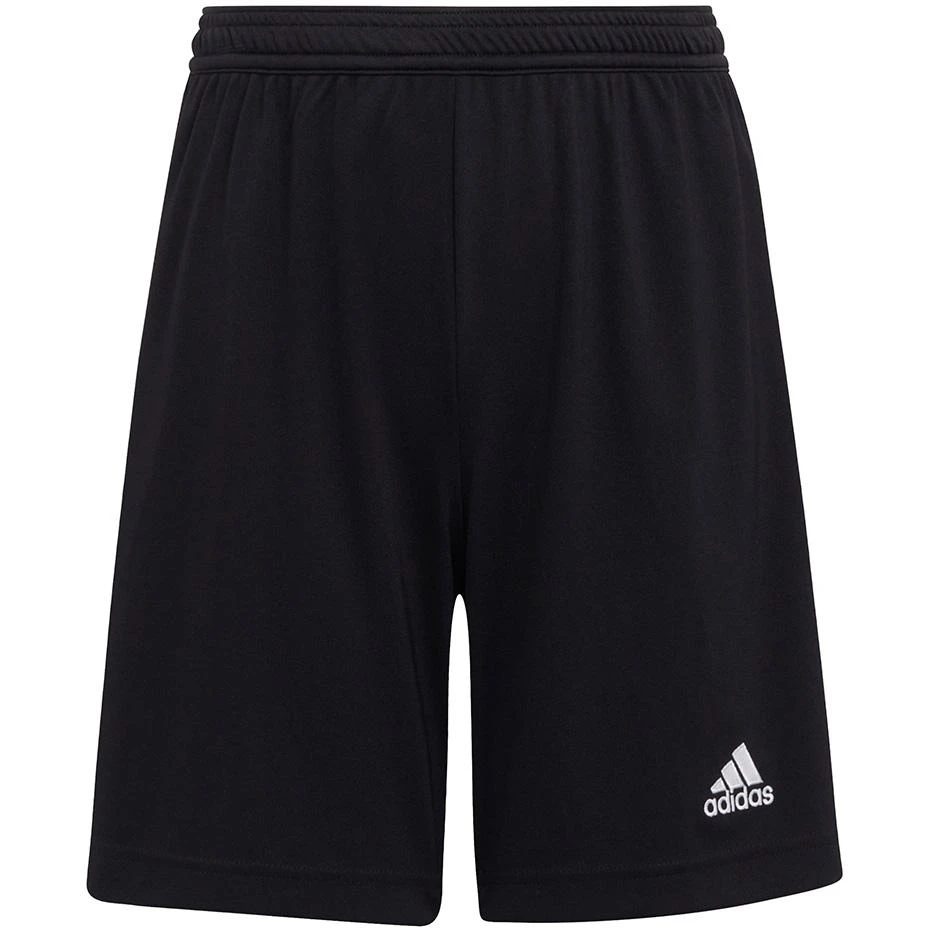 Šortai berniukams Adidas Entrada 22 Jr H57502, juodi