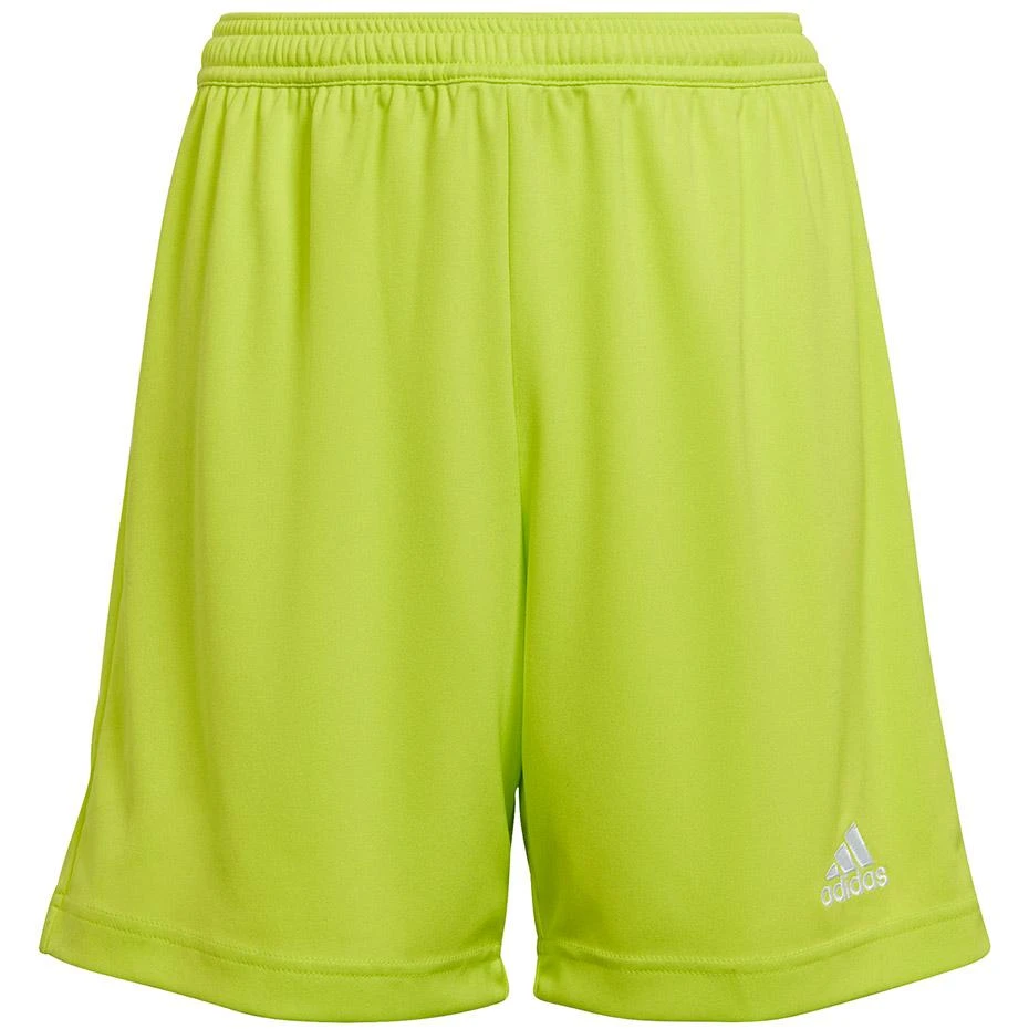 Šortai berniukams Adidas Entrada 22 Jr HC5065, žali