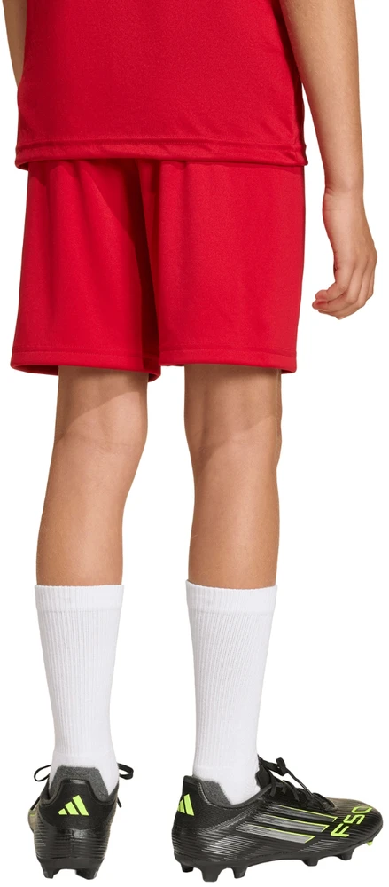 Šortai vaikams adidas Entrada 26 raudona JZ6528 (152cm)