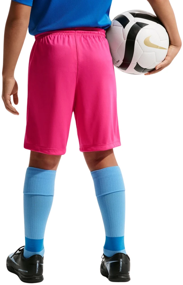Šortai vaikams Nike Dry Park III NB K rožinė BV6865 616 (XS)