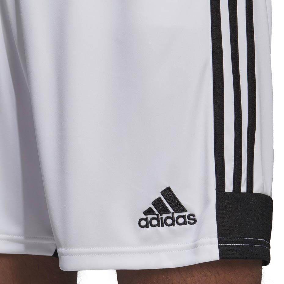 adidas Tastigo 19 Šortai M DP3247