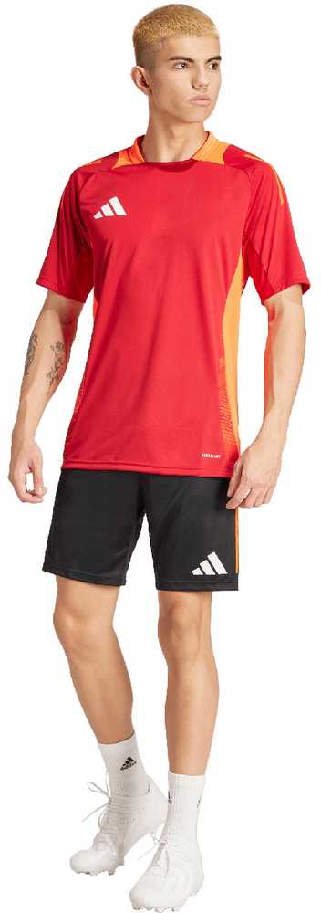 Šortai vyrams adidas Tiro 24 Competition Training juoda-raudona IR5484 (S)