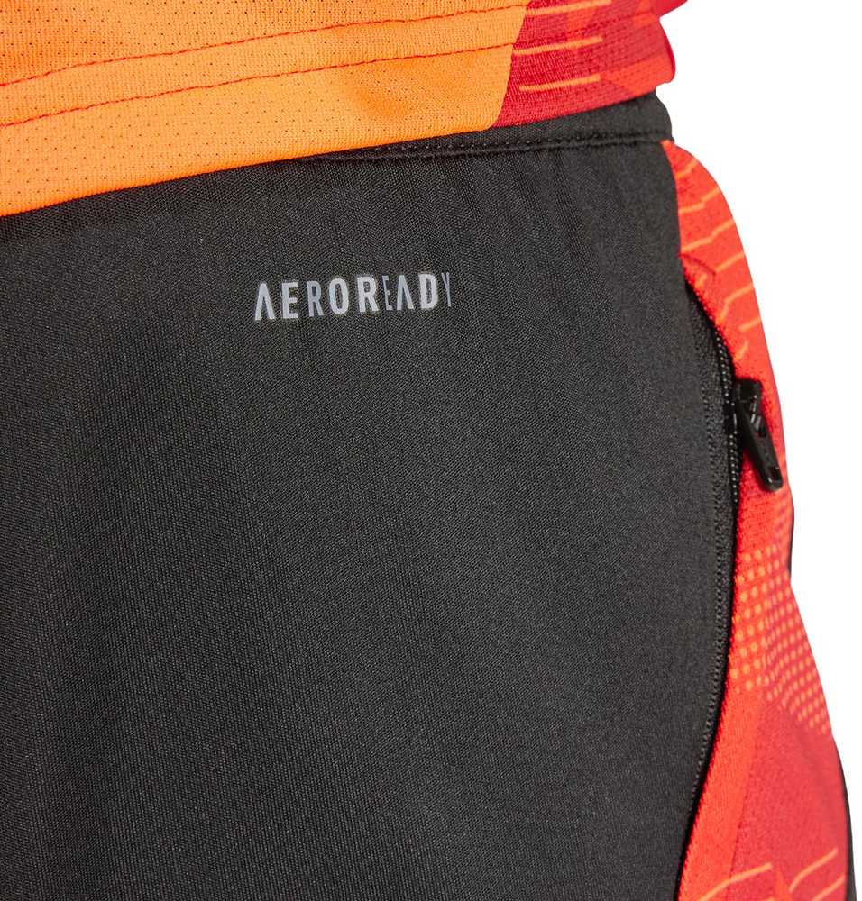 Šortai vyrams adidas Tiro 24 Competition Training juoda-raudona IR5484 (S)