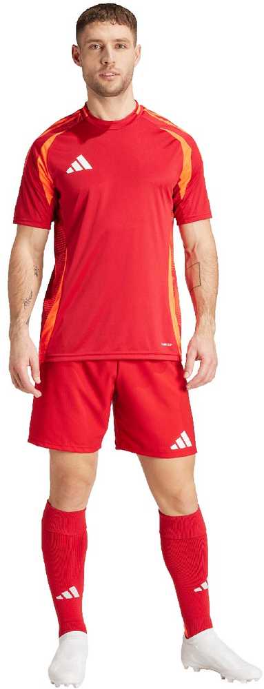 Šortai vyrams adidas Tiro 24 Competition Match raudona IK2245 (XL)