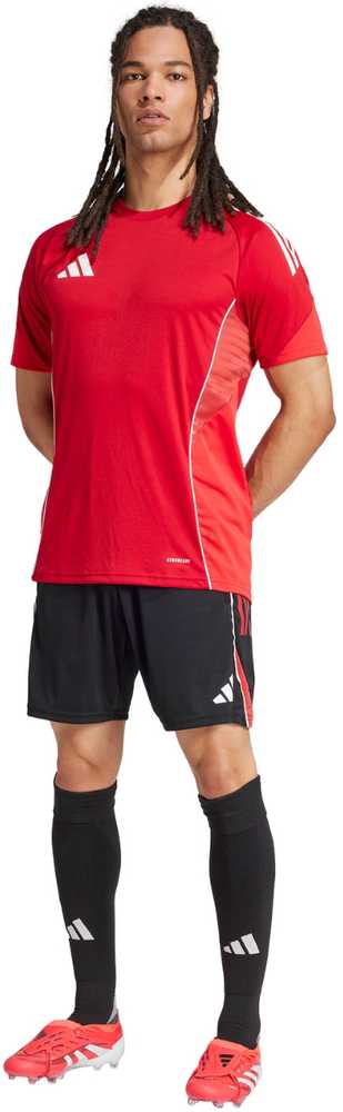 Šortai vyrams adidas Tiro 25 Competition Training juoda-raudona JI6491 (L)