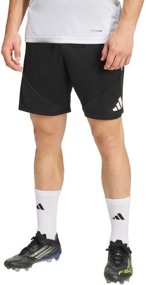 Šortai vyrams adidas Tiro 26 Competition Training juoda KA7643 XL