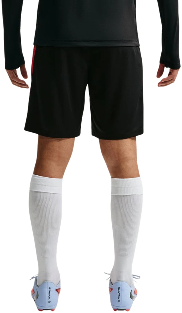 Šortai vyrams Nike Dri-FIT PSG juoda II2611 010 (2XL)