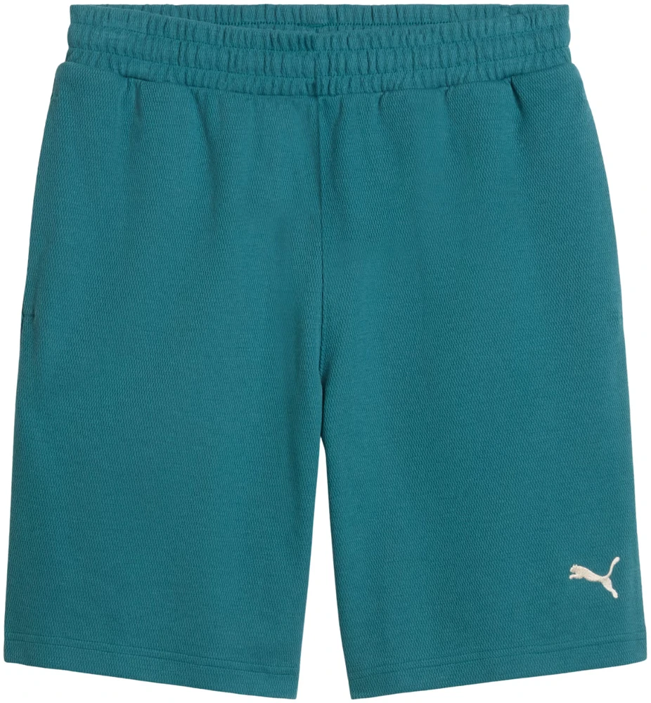 Šortai vyrams Puma ESS Elevated Relaxed žalia 692021 41 (S)
