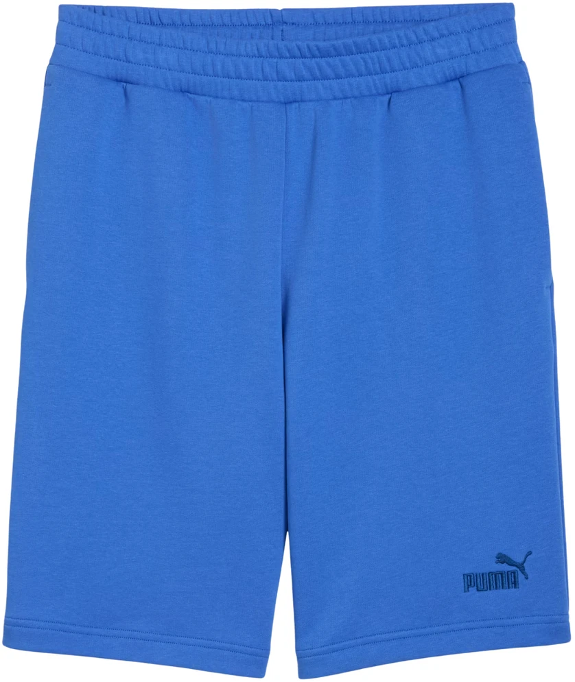 Šortai vyrams Puma ESS No.1 Logo 10" (s) mėlyna 682595 13 (L)