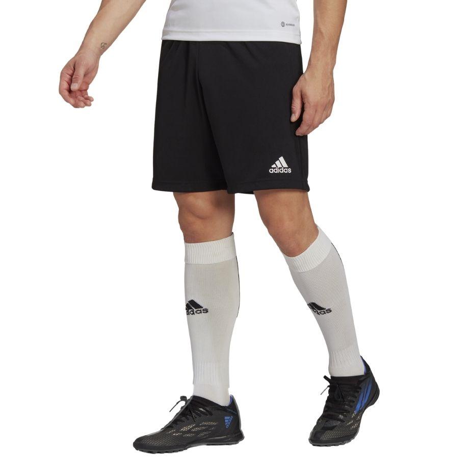 Adidas Adidas Šortai