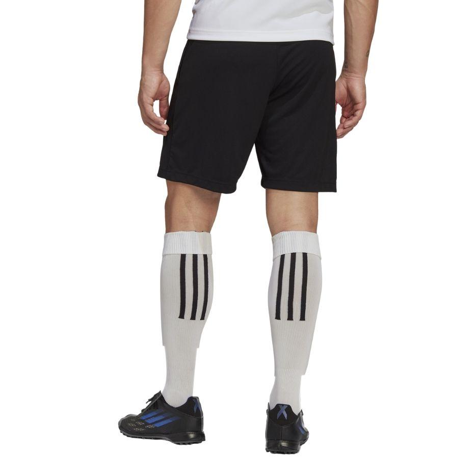 Adidas Adidas Šortai