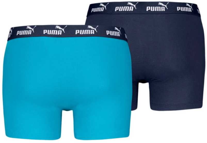 Trumpikės vyrams Puma Elements Basic 2P mėlyna,tamsiai mėlyna 938753 08 (M)