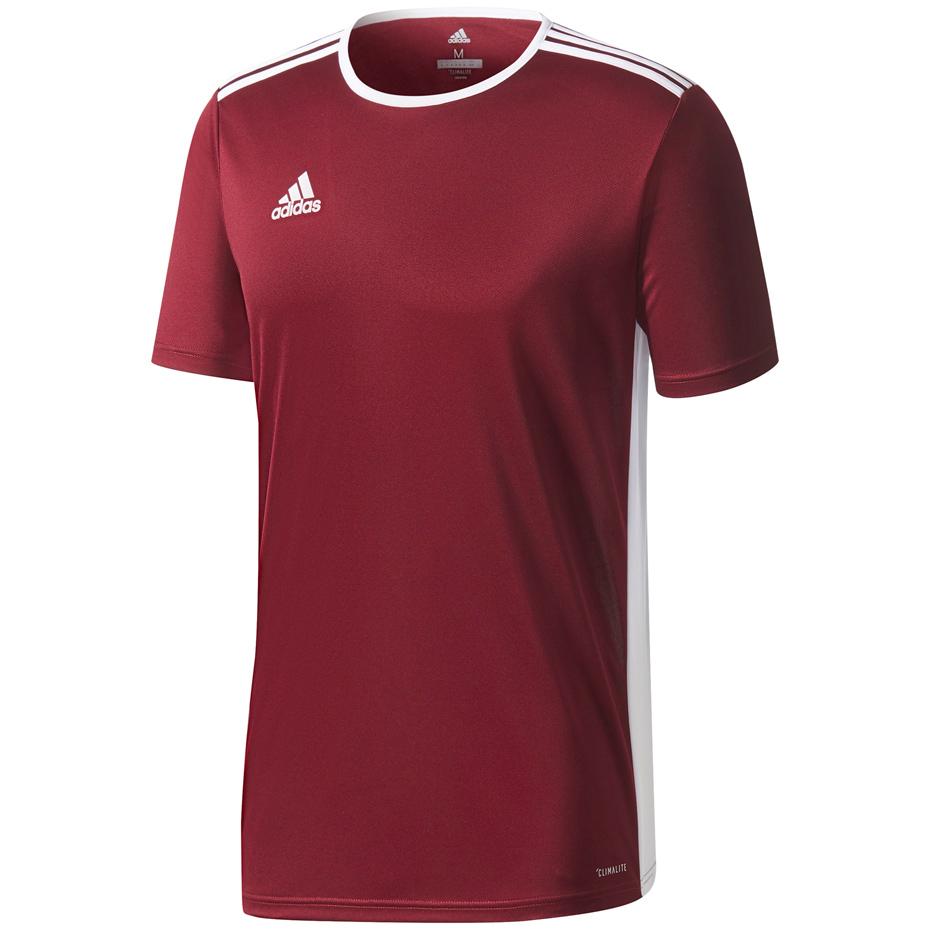 adidas Entrada 18 Jr Marškinėliai CE9564
