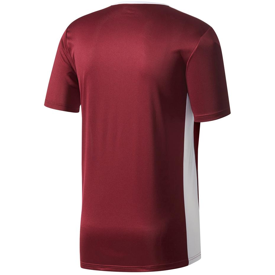 adidas Entrada 18 Jr Marškinėliai CE9564
