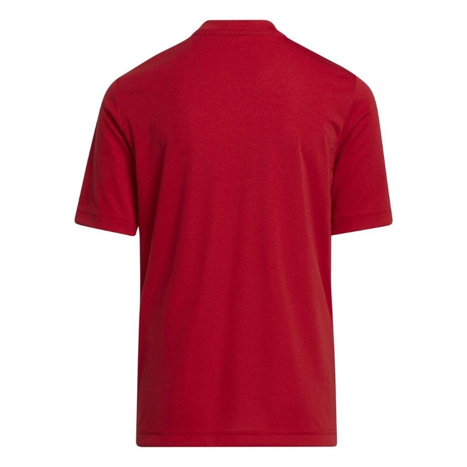 adidas Entrada 22 Grafinis Marškinėliai Jaunesniesiems H58983