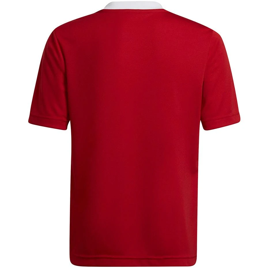 Vaikiški marškinėliai Adidas Entrada 22 Jsy H57496, raudona