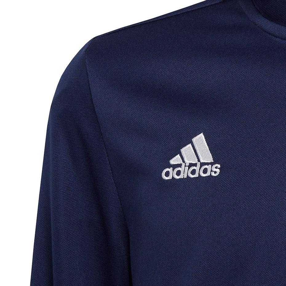 Adidas Adidas