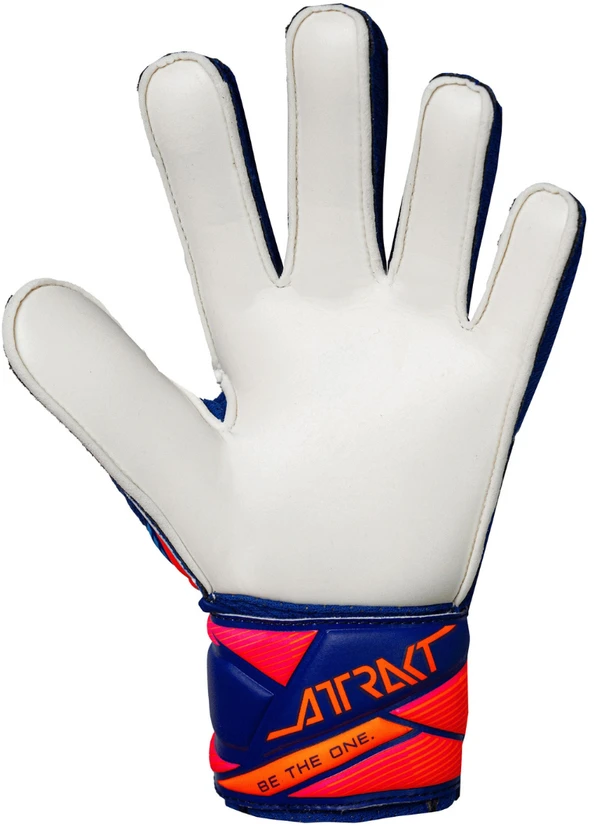 Reusch Attrakt Solid Vaikų Vartininko Pirštinės Mėlynos 5672515 4126