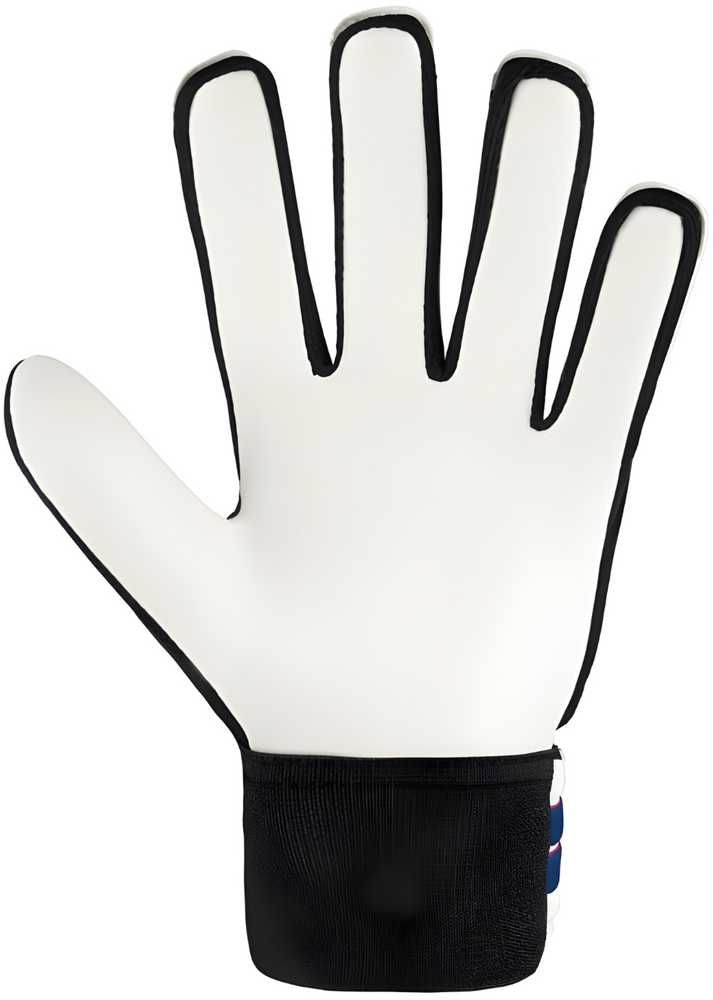 Reusch Attrakt Starter Solid futbolo vartininko pirštinės - Baltos