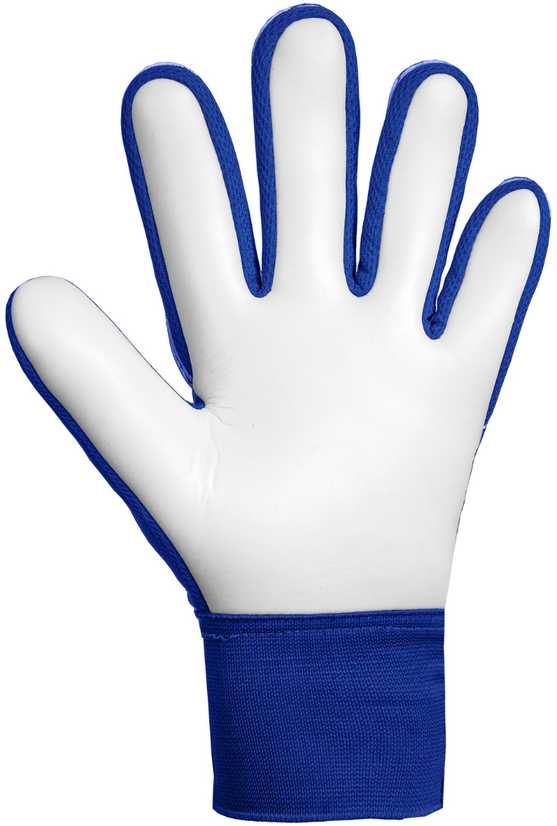 Reusch Attrakt Starter Solid Junior Goalkeeper Gloves 56 72 514 4126