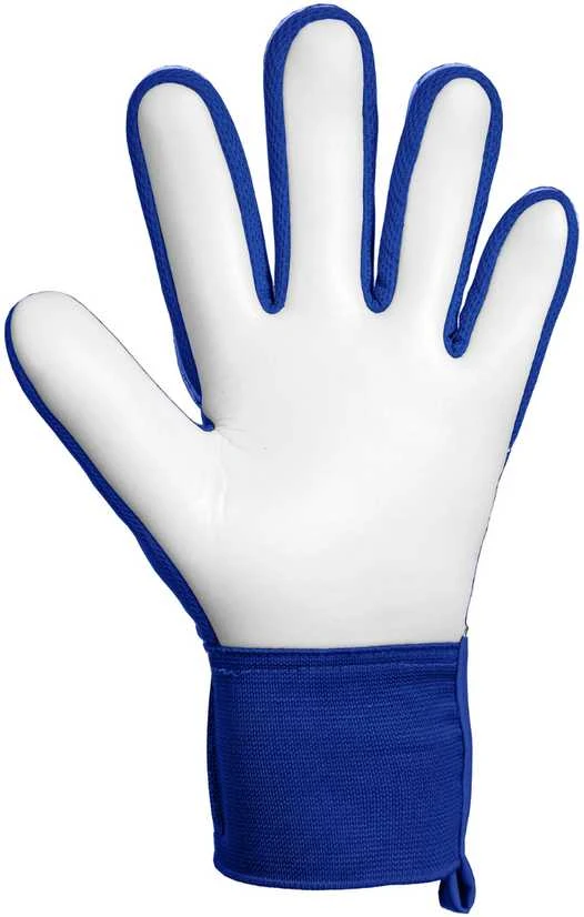 Reusch Attrakt Starter Solid Goalkeeper Gloves 56 70 514 4126