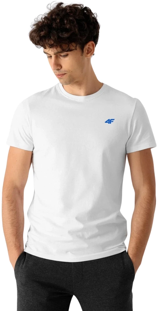 Vyriški marškinėliai 4F M4479 balta, mėlyna, tamsiai mėlyna 4FWSS26TTSHM4479 90S (XL)