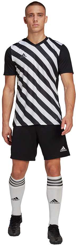 adidas Entrada 22 Grafinis Džersis M HF0126