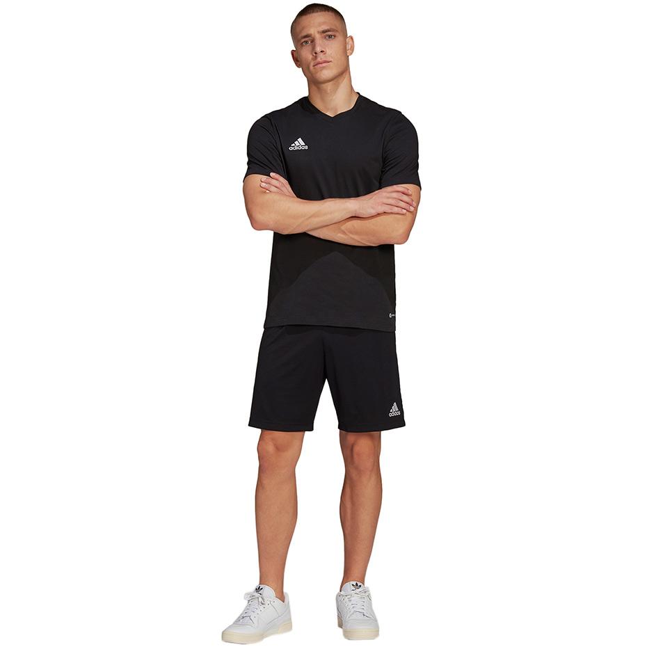 Adidas Adidas