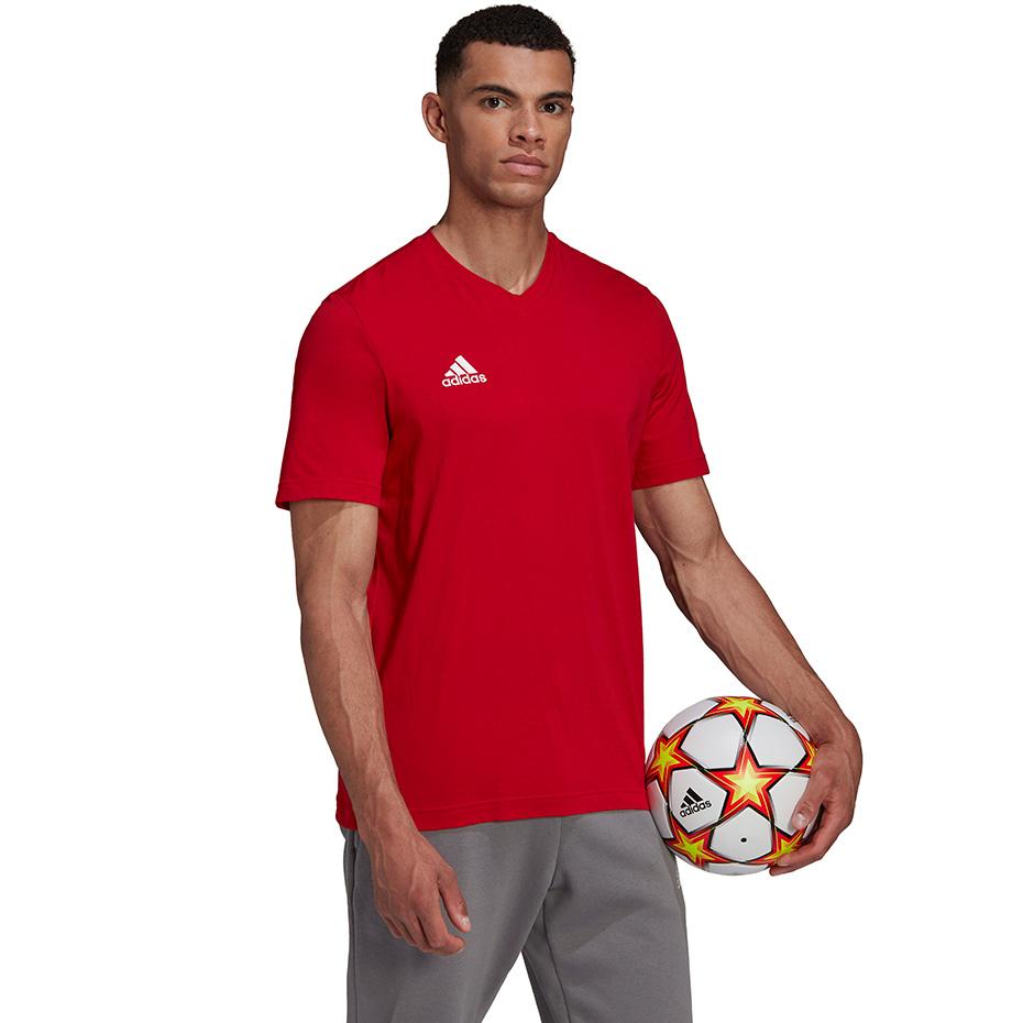 Adidas Adidas