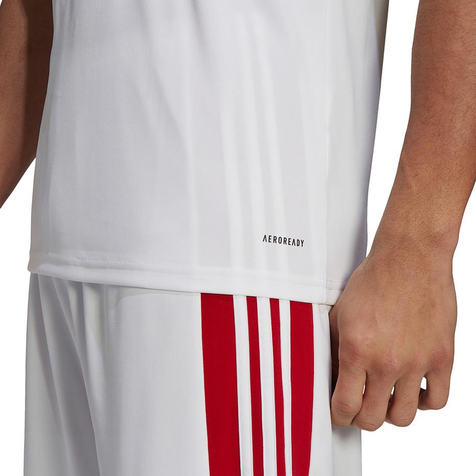 adidas Squadra 21 JSY M GN5725 futbolo marškinėliai