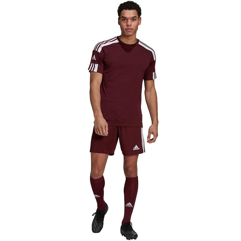 Adidas Squadra 21 JSY M GN8091 Marškinėliai