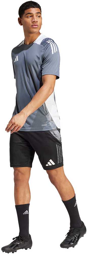 Vyriški marškinėliai adidas Tiro 24 Competition Training pilka IV6969 (S)