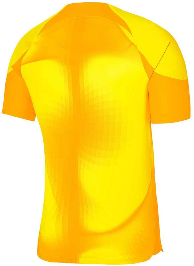 Vyriški marškinėliai Nike Dri-FIT Adv Gardien IV GK Jsyss geltona DH7760 719 (M)