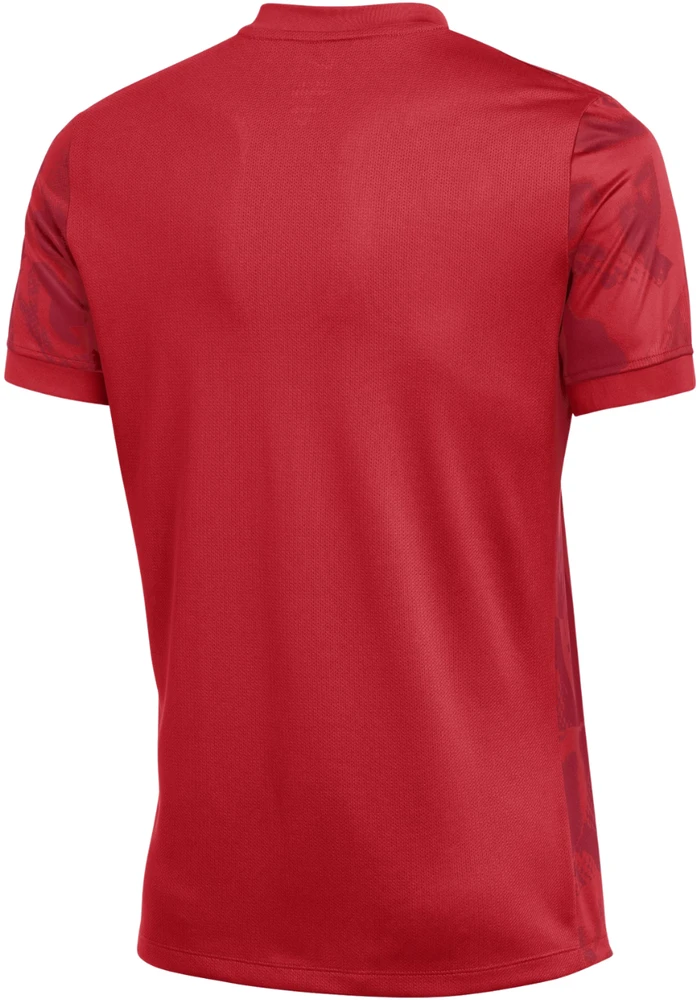 Vyriški Nike Dri-FIT Precision VII marškinėliai, raudoni