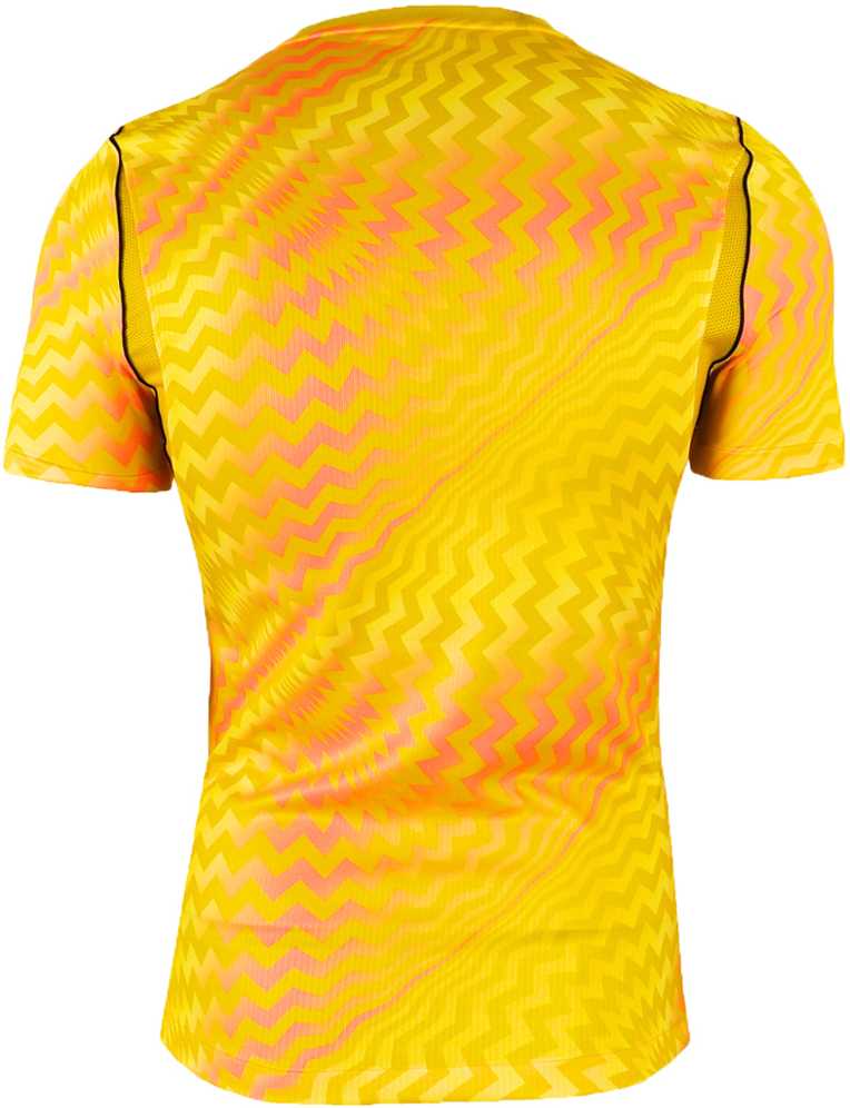 Vyriški marškinėliai Nike Dri_Fit Gardien VI Goalkeeper geltona HV8301 718 (M)