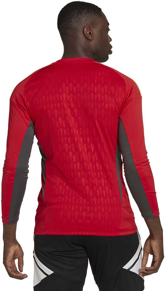 Vyriški vartininko marškinėliai „Adidas Tiro 23 Competition“ ilgomis rankovėmis raudona HL0007 (XL)
