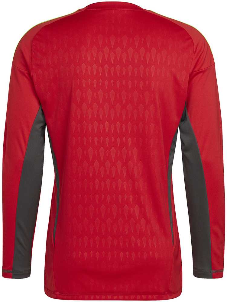 Vyriški vartininko marškinėliai „Adidas Tiro 23 Competition“ ilgomis rankovėmis raudona HL0007 (XL)