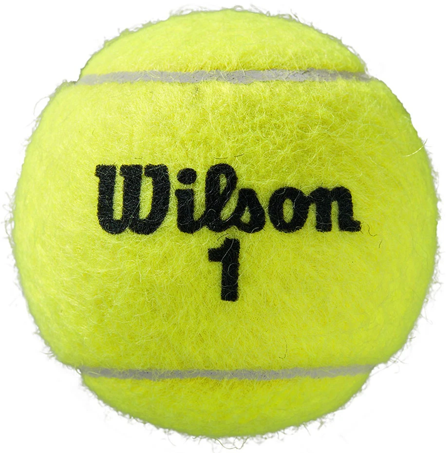 WILSON ROLAND GARROS (4) teniso kamuoliukai