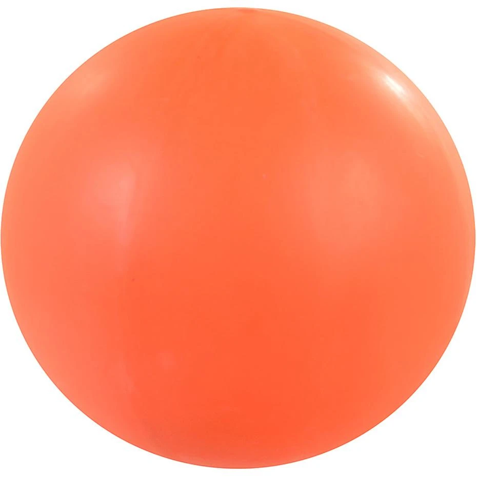 Meteor Kamuolio kamera 5 dydis