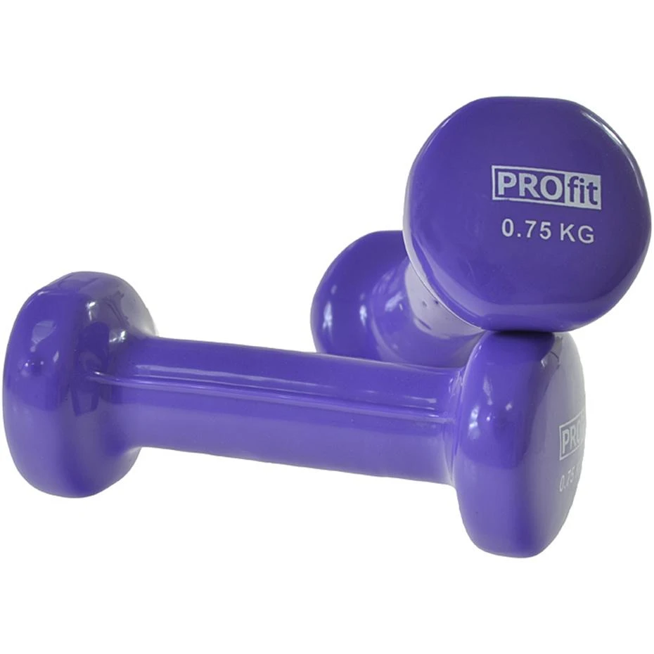 Vinilo Hanteliai Profit Violetinis 2x0,75kg DK 4102