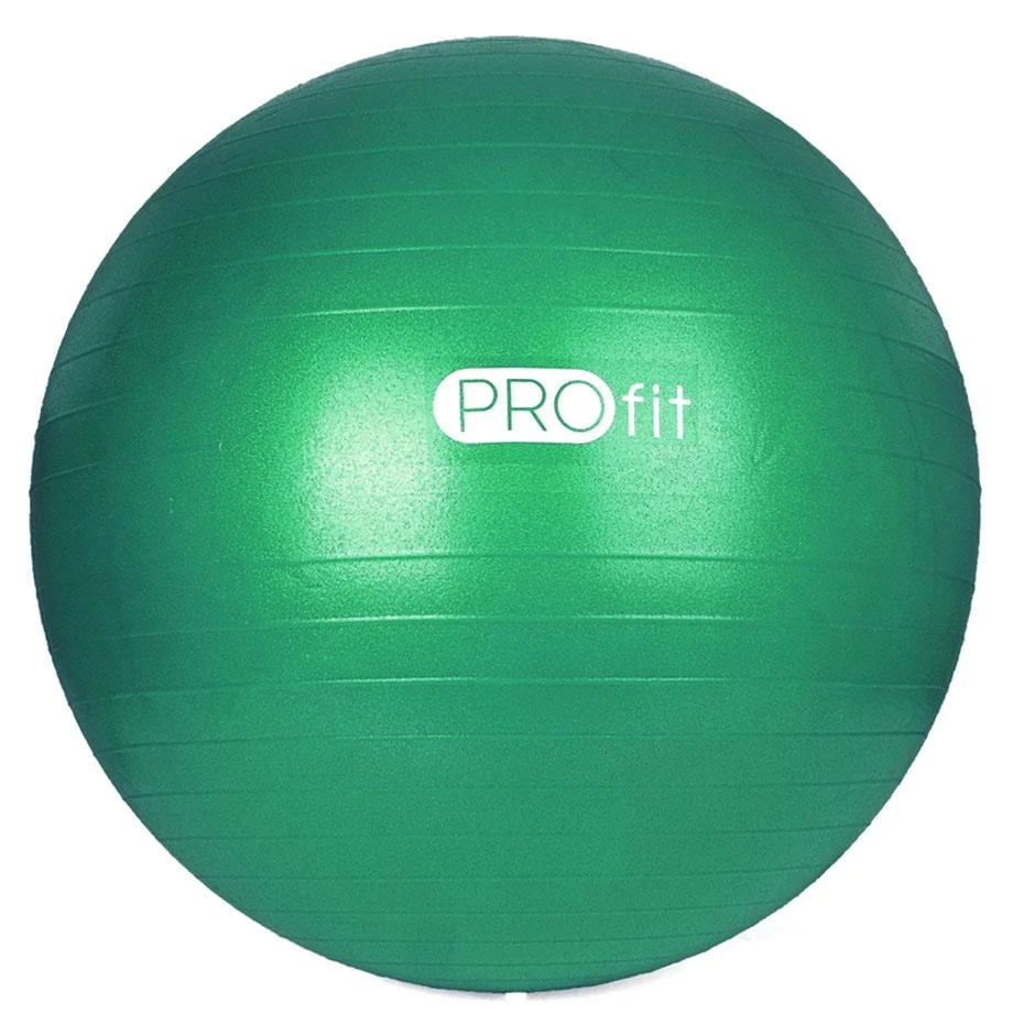 Gimnastikos kamuolys PROFIT 55cm su pompa