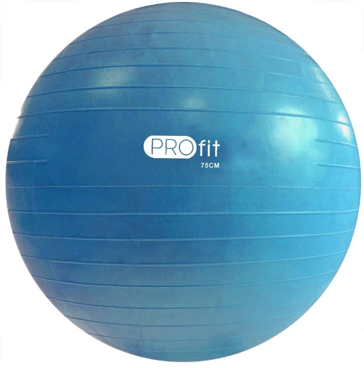 Gimnastikos Kamuolys PROFIT 75cm su Pompa