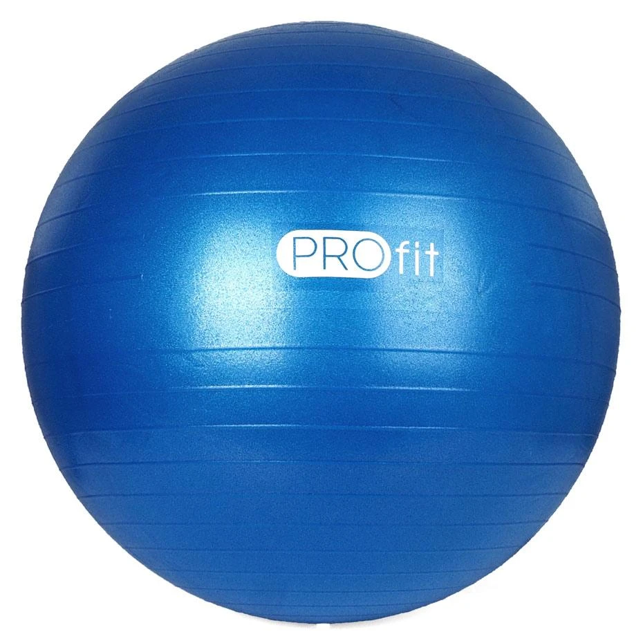 Gimnastikos Kamuolys PROFIT 75cm su Pompa