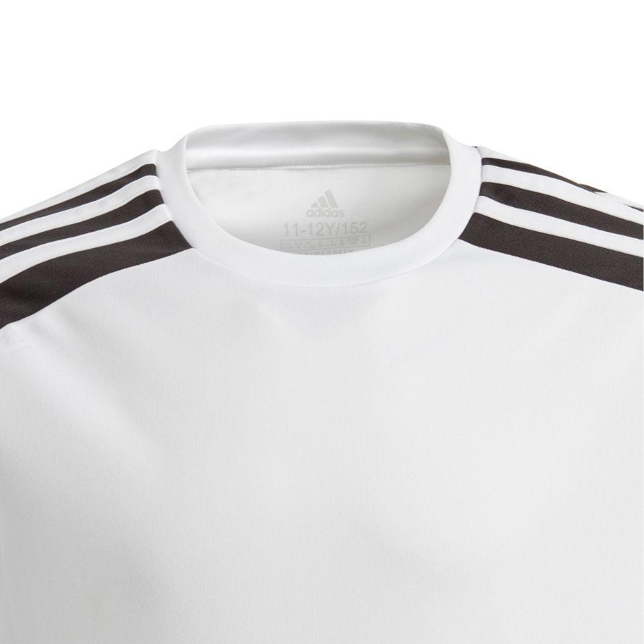 Adidas Squadra 21 JSY Y Jr Marškinėliai GN5738
