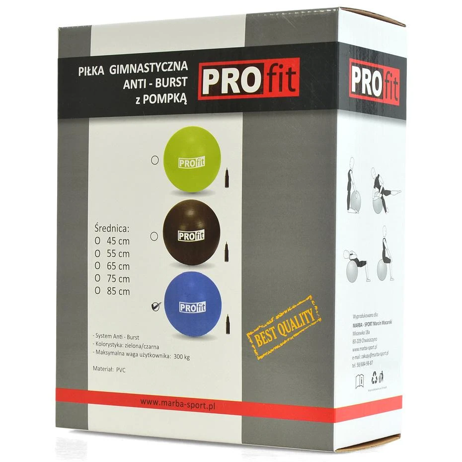 Gimnastikos Kamuolys PROFIT 75cm su Pompa