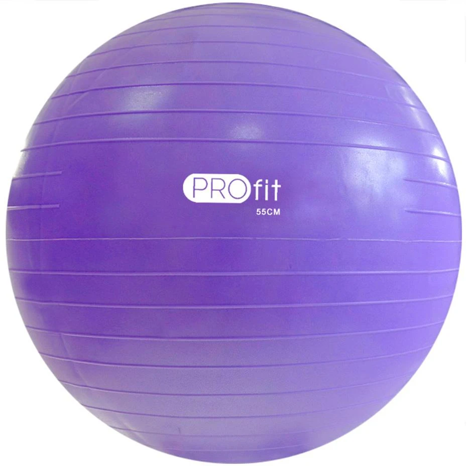 Kamuolys gimnastyczna Profit 55 cm violetinė su pompką DK 2102